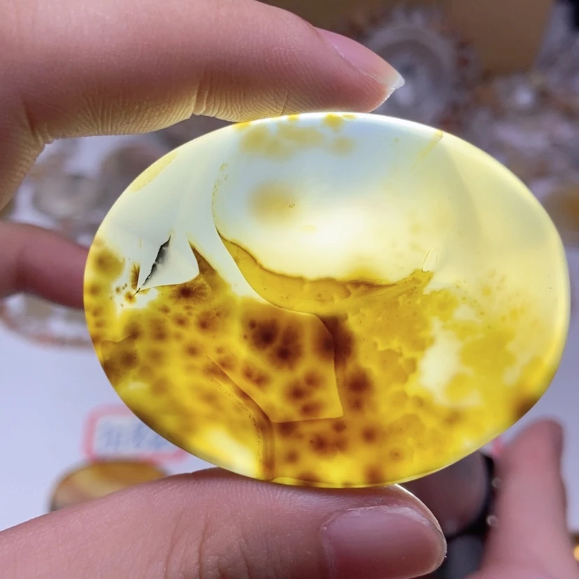 【闪购商品】玛瑙/玉髓颈饰未镶嵌