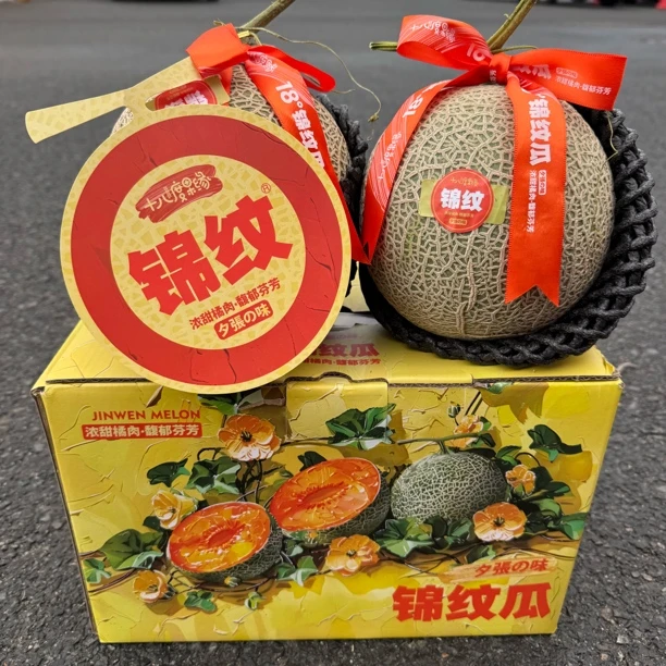 《小军严选》玫珑蜜瓜 锦纹红肉网纹瓜冰其淋口感 包邮海南省