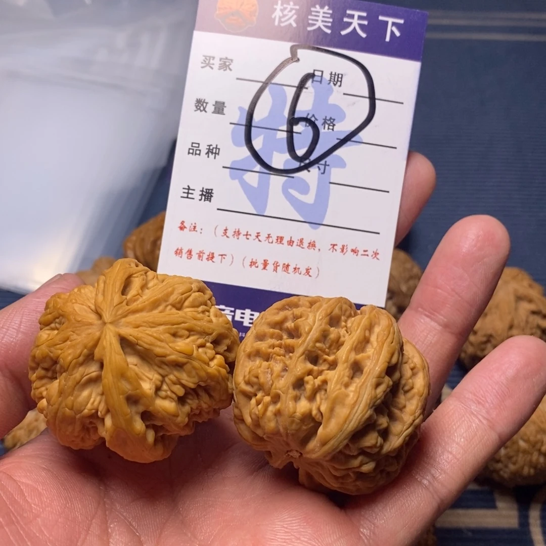 粗筋55968689999698