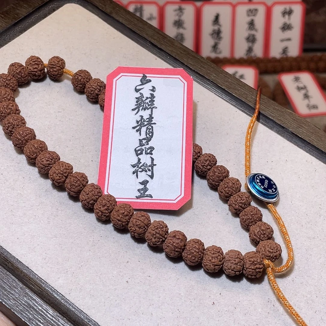 我***子菩提籽类0522六瓣精品树王