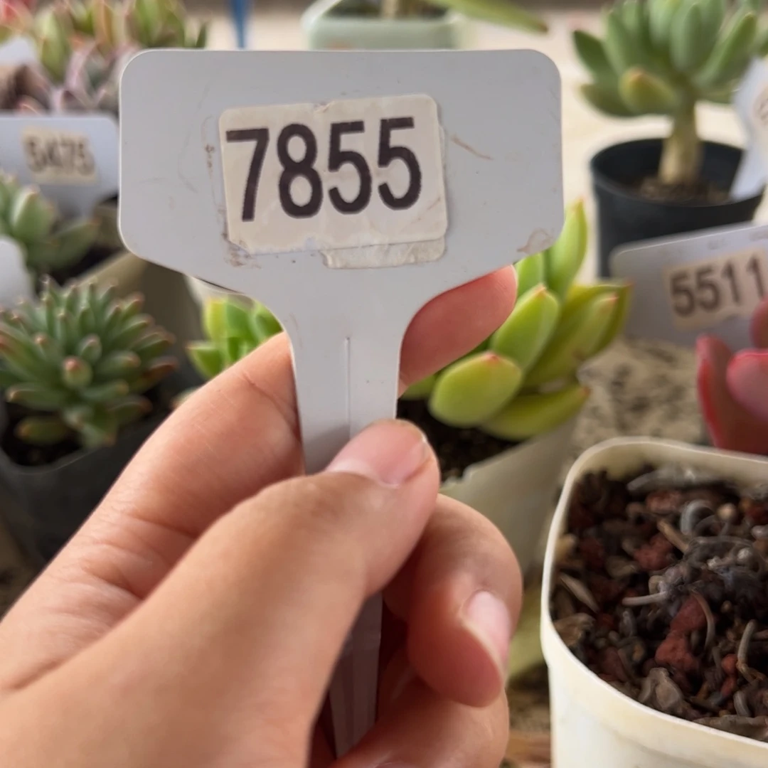 【闪购商品】南*。7854。11111111