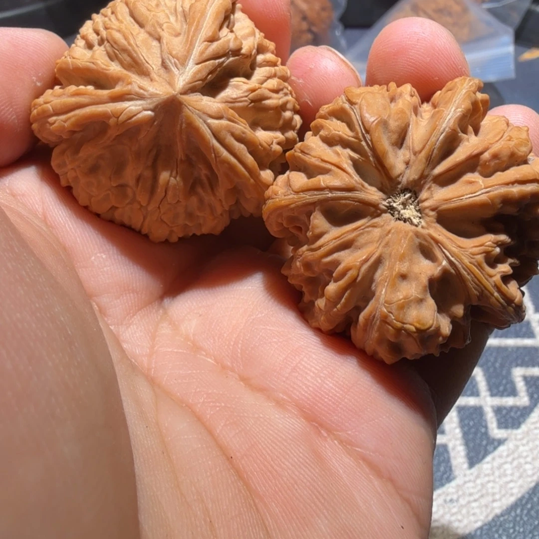 猴头核桃把件御龙正奔
