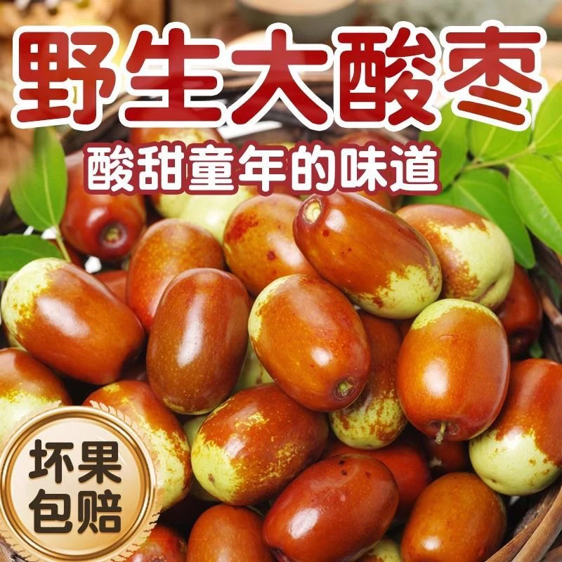 京东/顺丰包邮沂蒙山老树野枣新鲜现摘野生酸枣酸脆甜应季水果