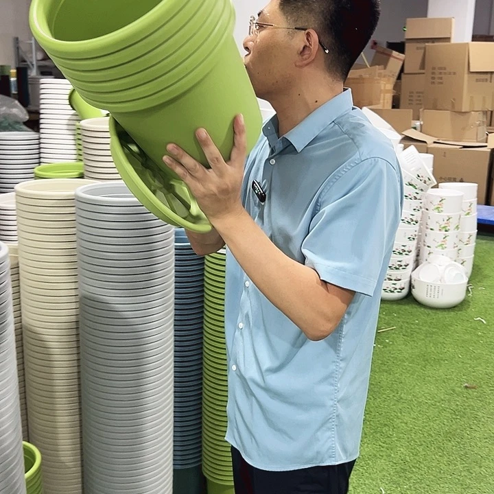 特价4号四季口25高21果绿带托6个