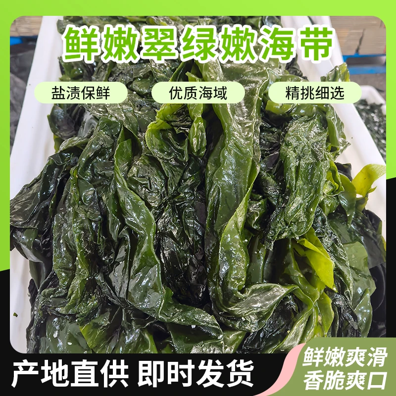 大连盐渍海带鲜嫩美味适合食用可凉拌煲汤