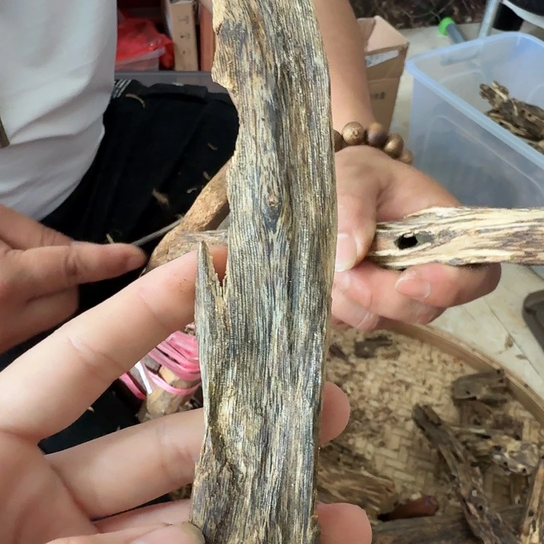 块料块料料了块料