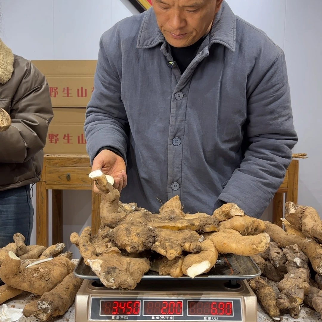 难***塗中国大陆太行山野生山药