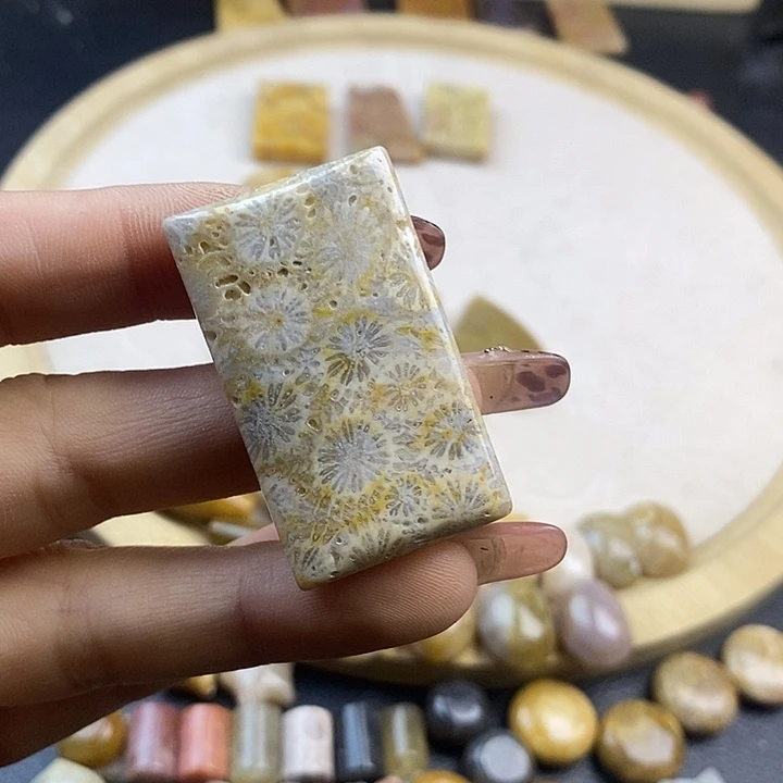 硅化珊瑚（珊瑚玉）未镶嵌颈饰