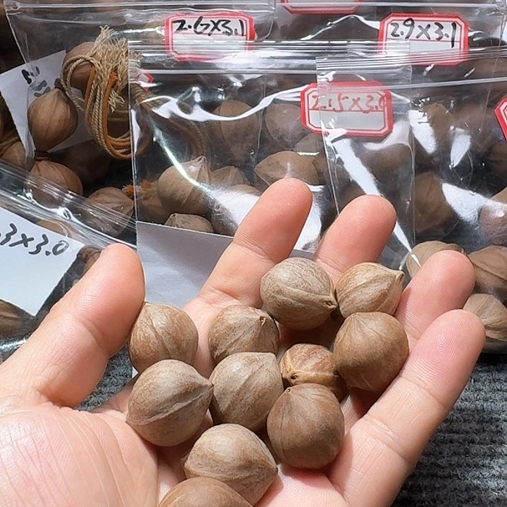 吊坠橄榄核靓*2.0❌2.5