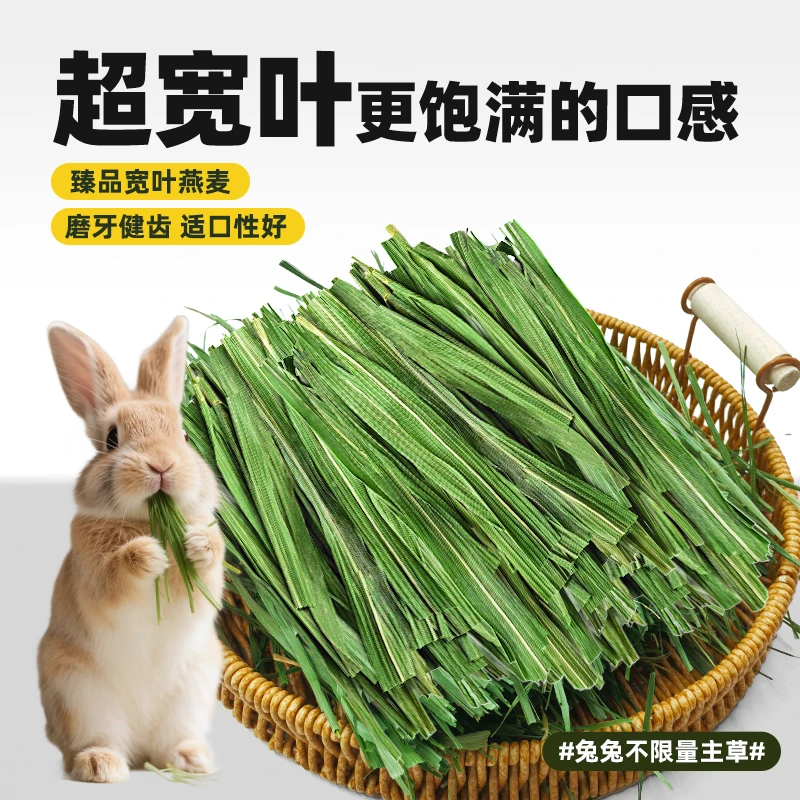 【头牌宽叶】小兔家产地严选燕麦草烘干兔子草高纤维高适口性干草