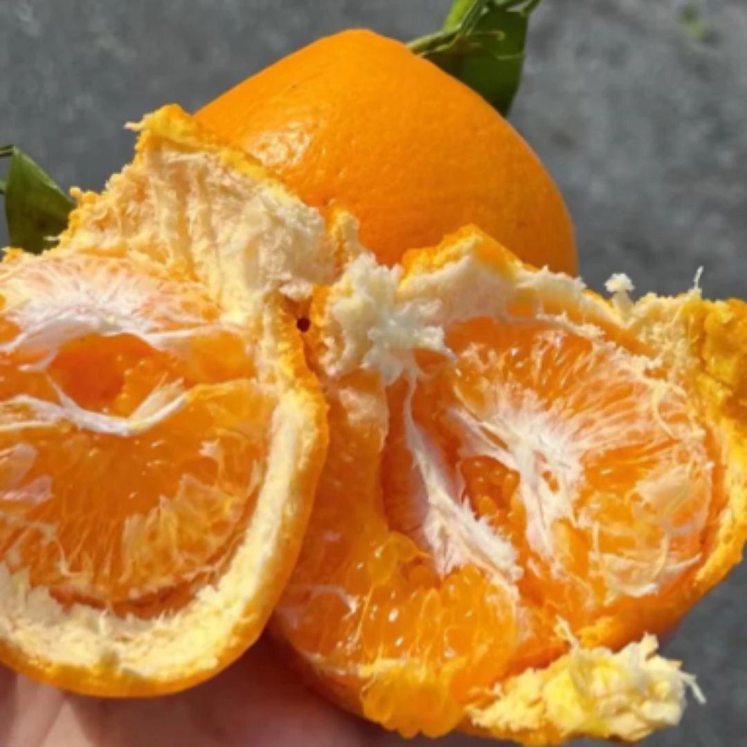 春见耙耙柑9斤39.9