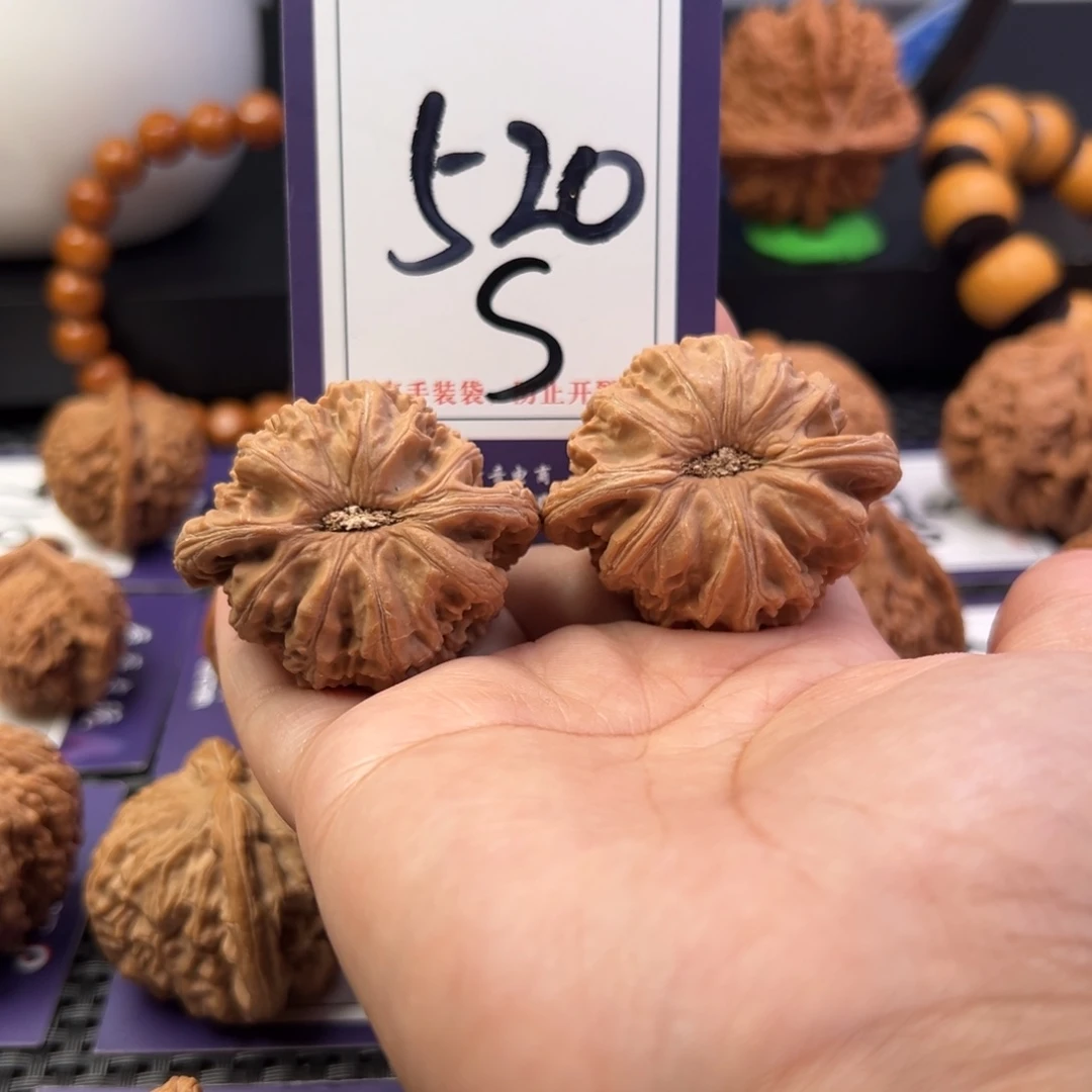 把件桃核520号白狮子43