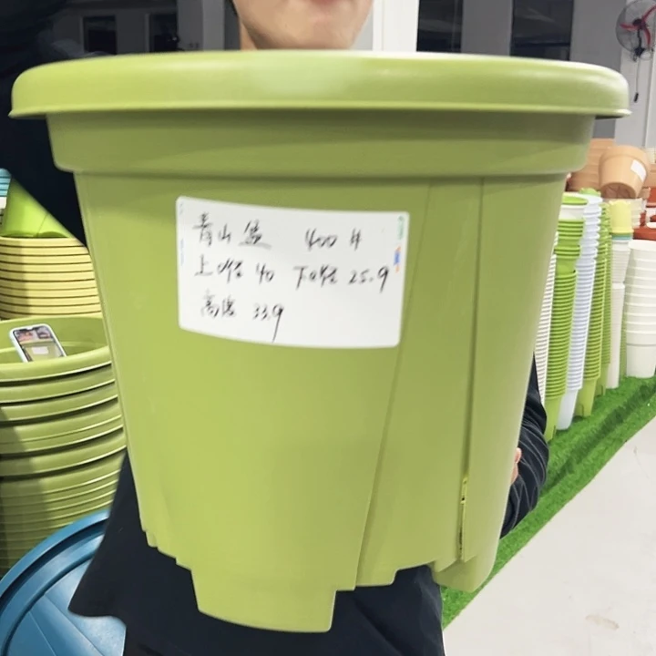 青山口40高34果绿色5支无托