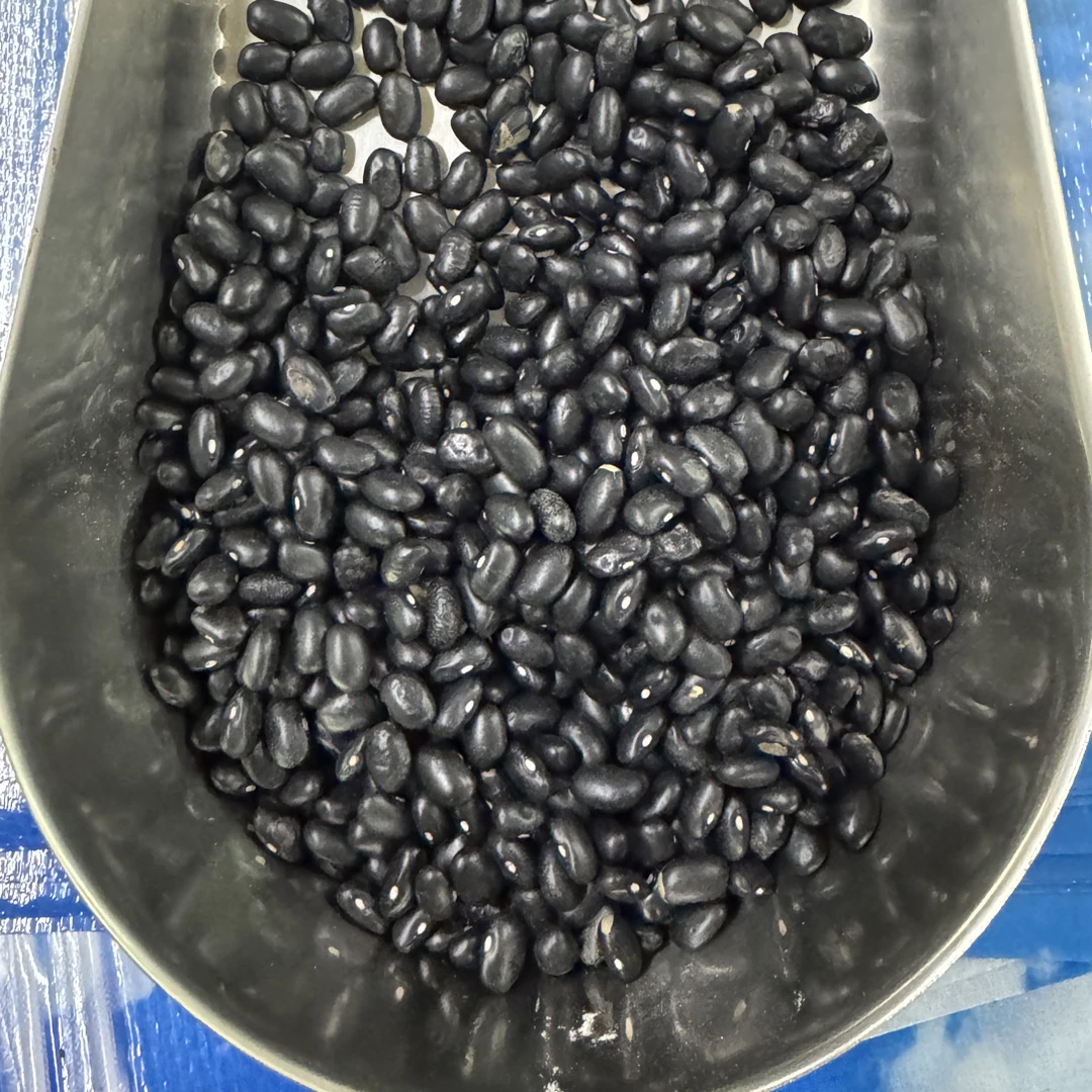 25年新豆黑土农家自种老品种肾形白心小黑豆营养丰富可打豆浆