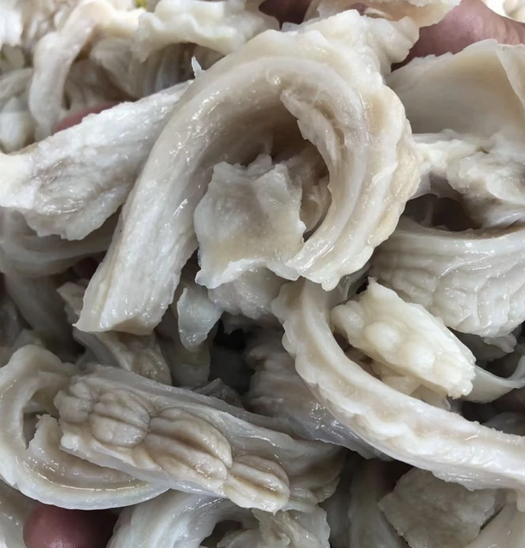 新鲜爽口嫩脆鱼肚 爆炒 红烧 煲汤 新鲜发货3/5斤