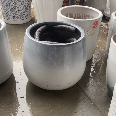 低腰渐变灰色龙蛋特大 口32/35