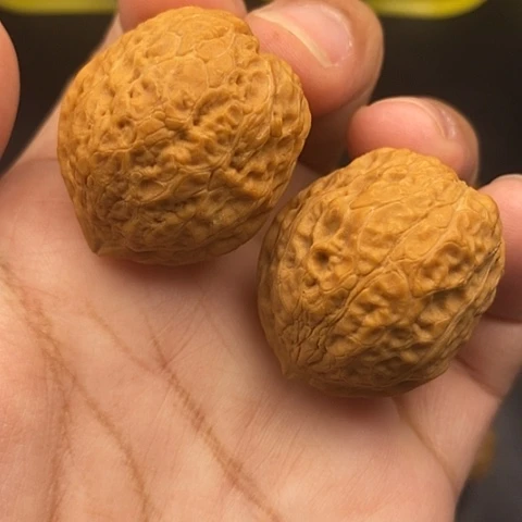 文玩核桃把件35尺蟒纹元宝