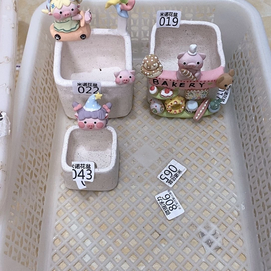 我***猫米诺多肉植物花盆019