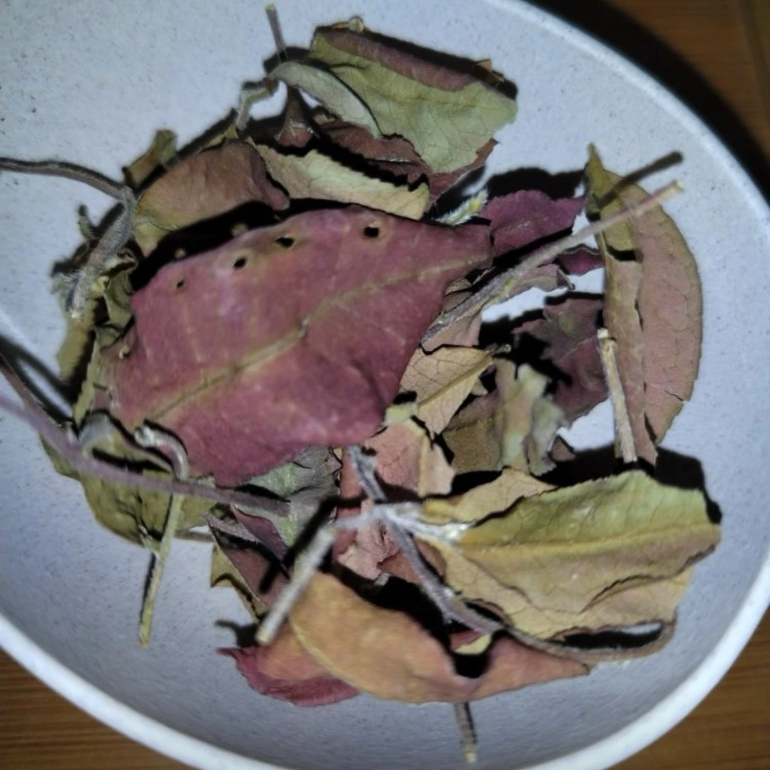 云南早春白茶 《胭脂白》梅子香