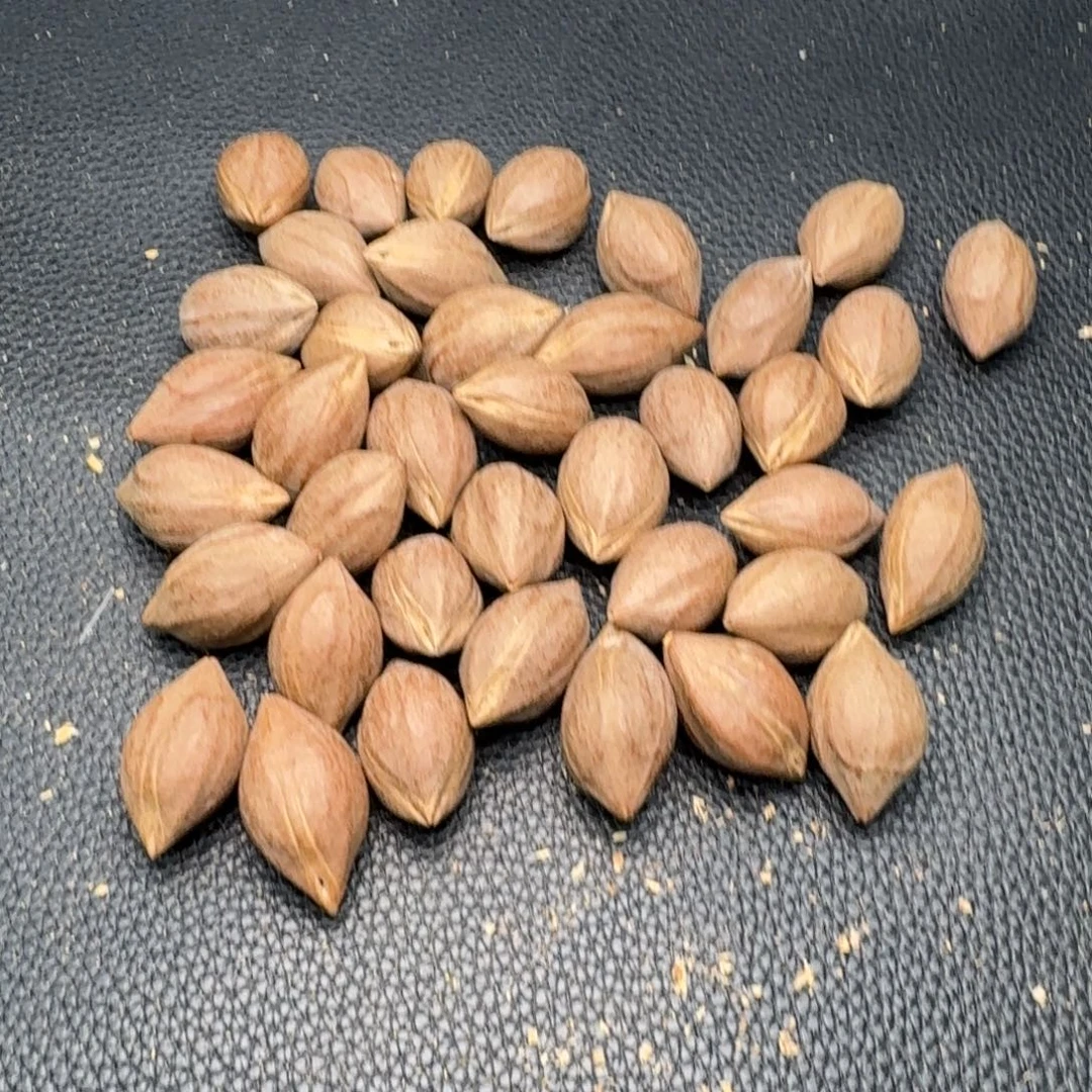 鱼***鹏橄榄核手串/手链1