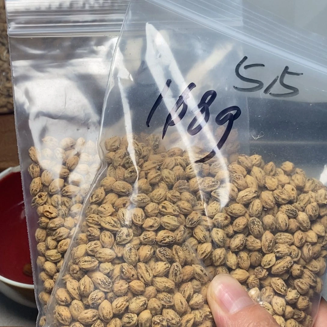 柏香籽/百香籽吊坠来****…