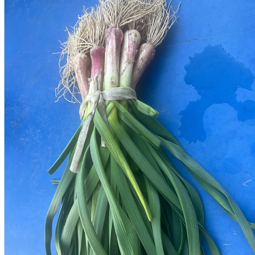 湖北通城农家种植本地大蒜本地蔬菜大蒜