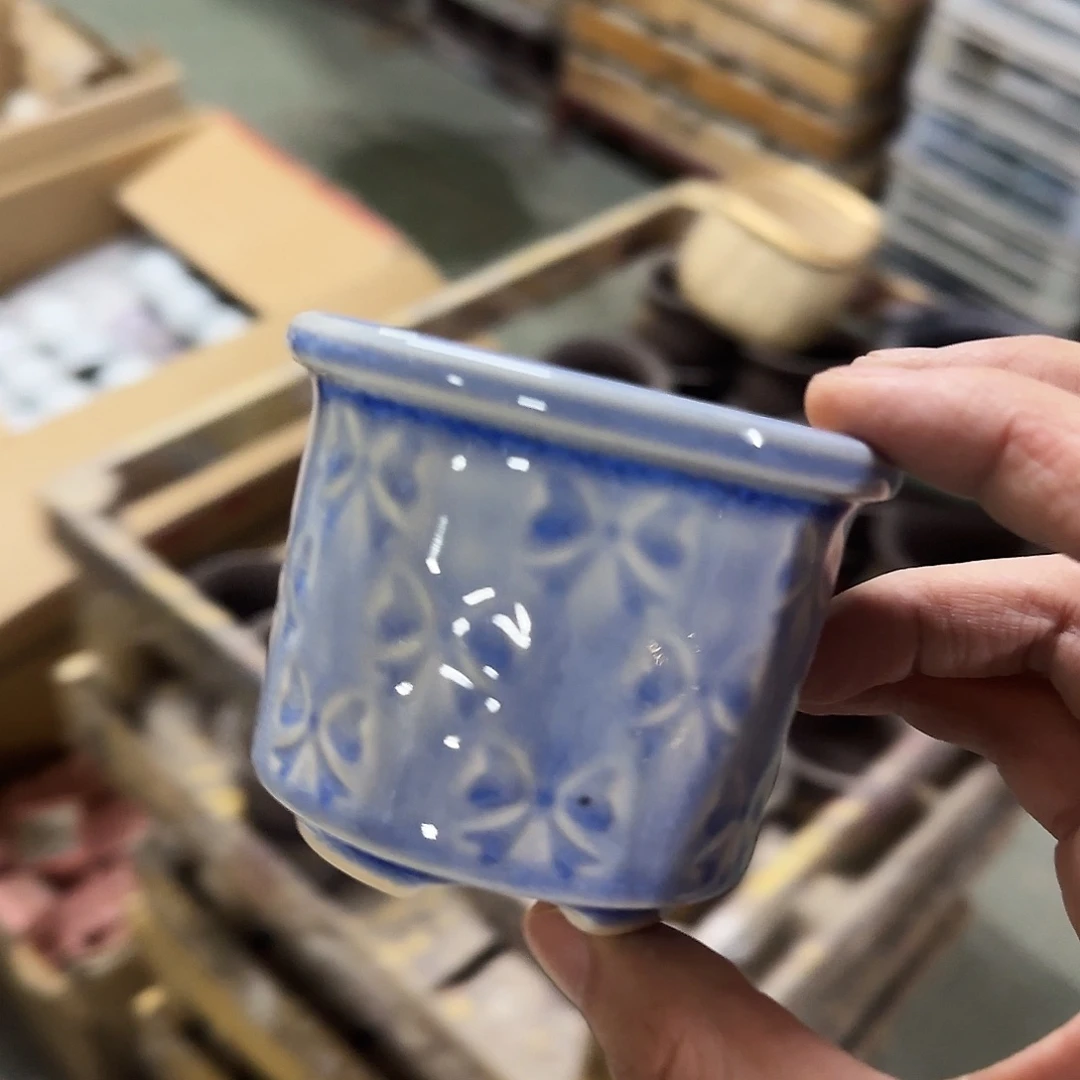 福利局绿植多肉盆［凑9元包邮24小时发］