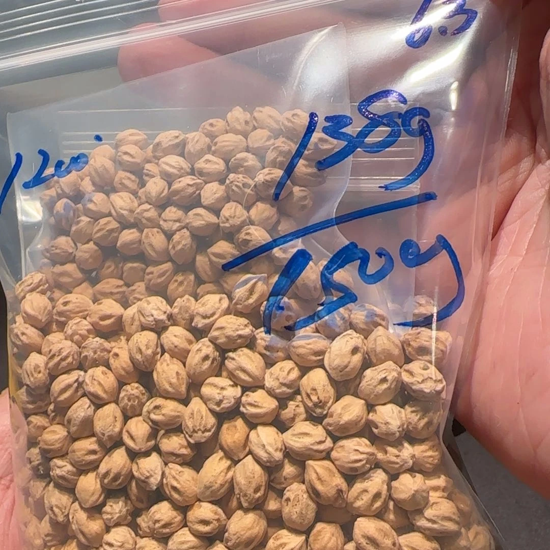 柏香籽/百香籽吊坠6.3 138g