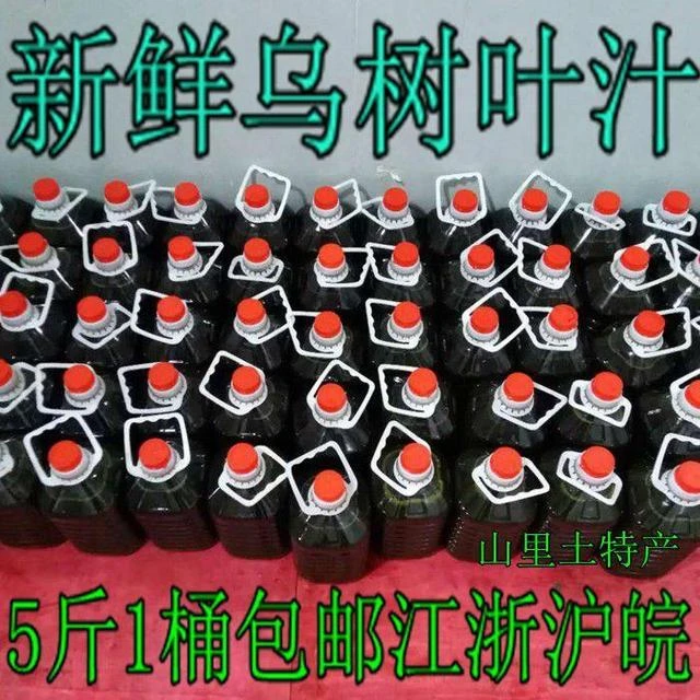 /新鲜乌饭叶汁南烛叶汁乌树叶汁乌米汁 2500g乌米粽乌八宝饭的原