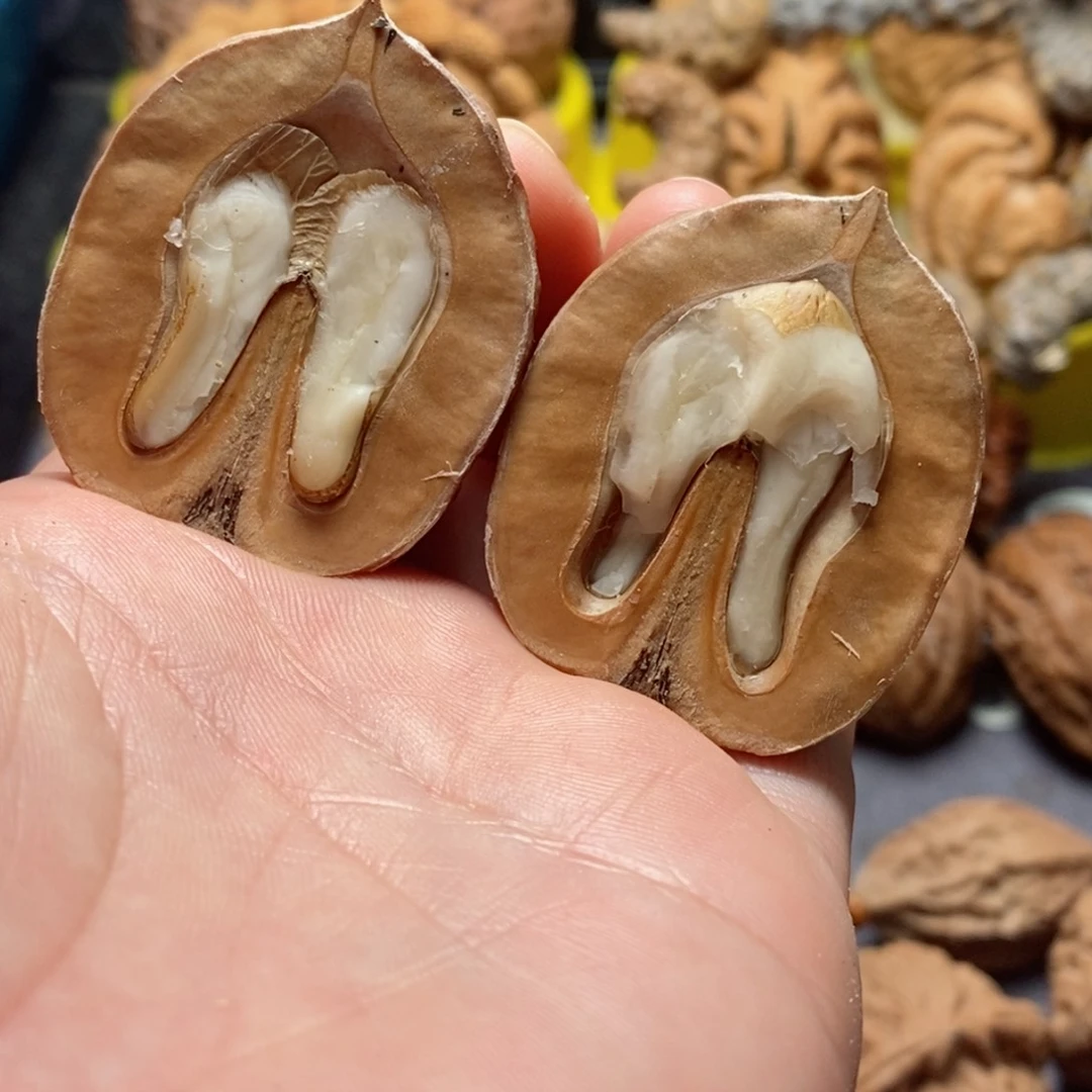 文玩核桃吊坠风****浅核桃1