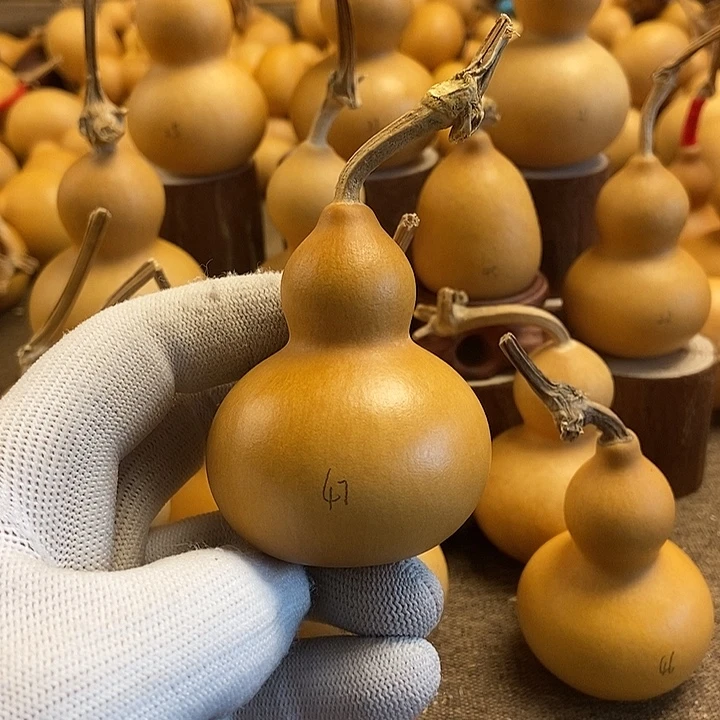 文玩葫芦 完美主义者 慎拍47