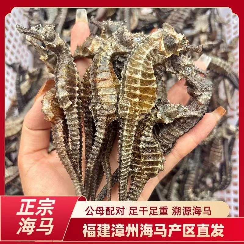 【正品保真】海馬天然生晒线纹公母配对专用可以煲汤海马泡酒专用