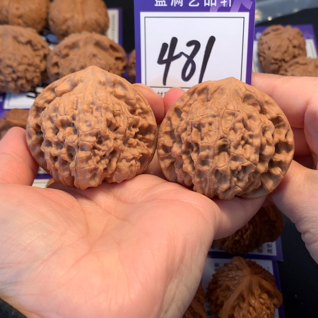 核桃481官帽5.3全品