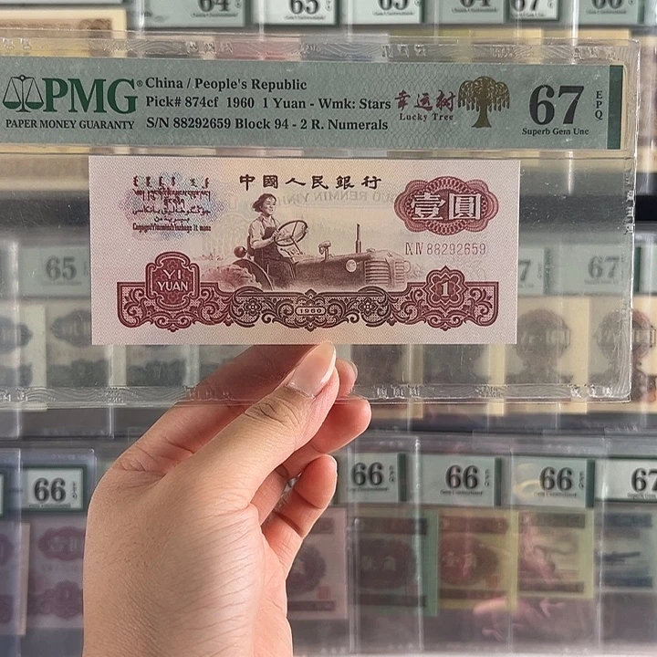 幸运树福利包邮包邮