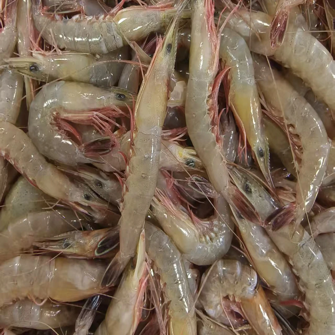 【配送到家】鹰爪虾滑皮虾一斤/两斤，肉质鲜甜，越吃越上头