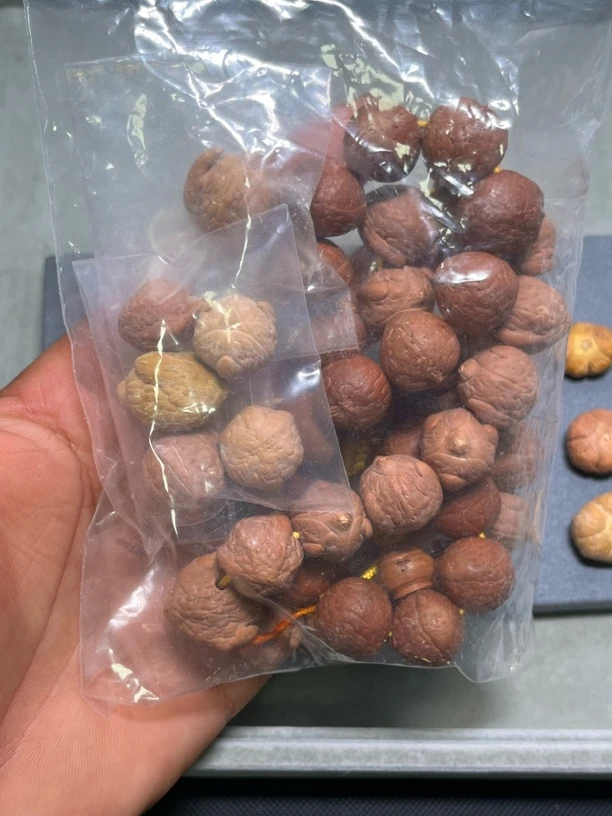 国产凤眼菩提 恶魔龙串 单个