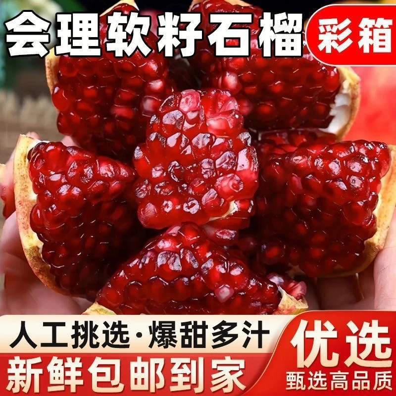 【只卖净重】正宗会理突尼斯软籽石榴爆甜红石榴新鲜石榴批发整箱