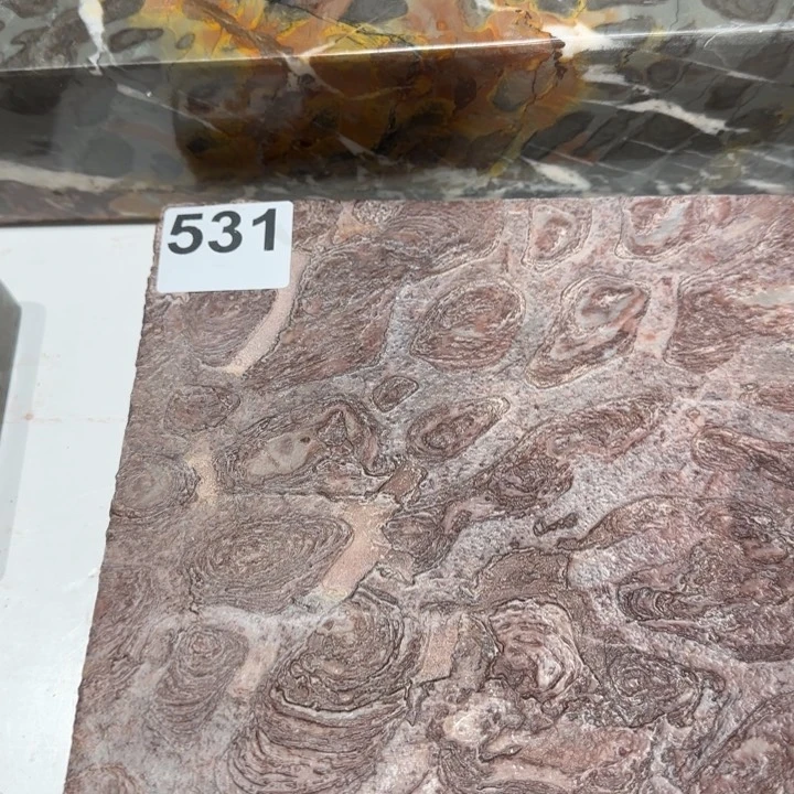 111111111陈*毅11111111111