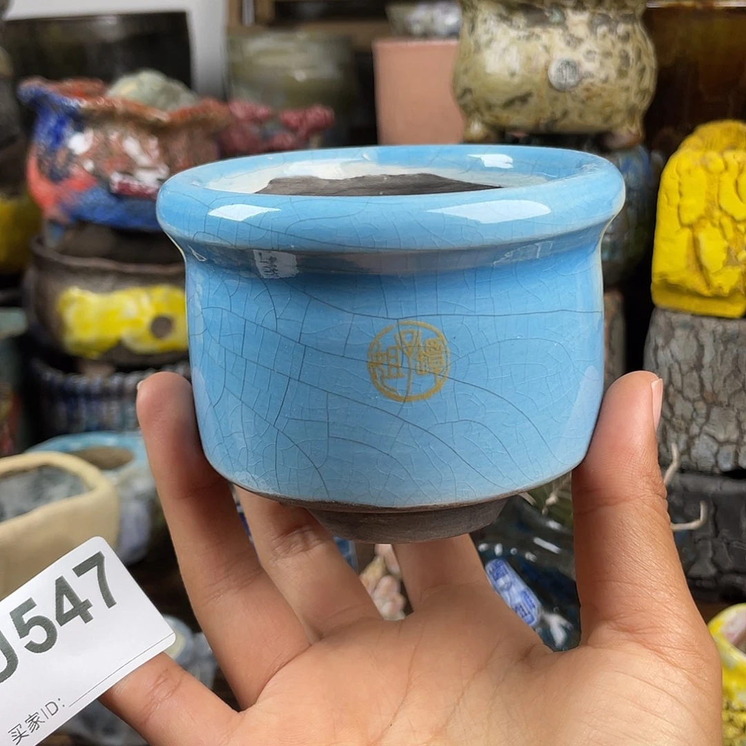 默认微次 元旦福利 坛子姐花盆