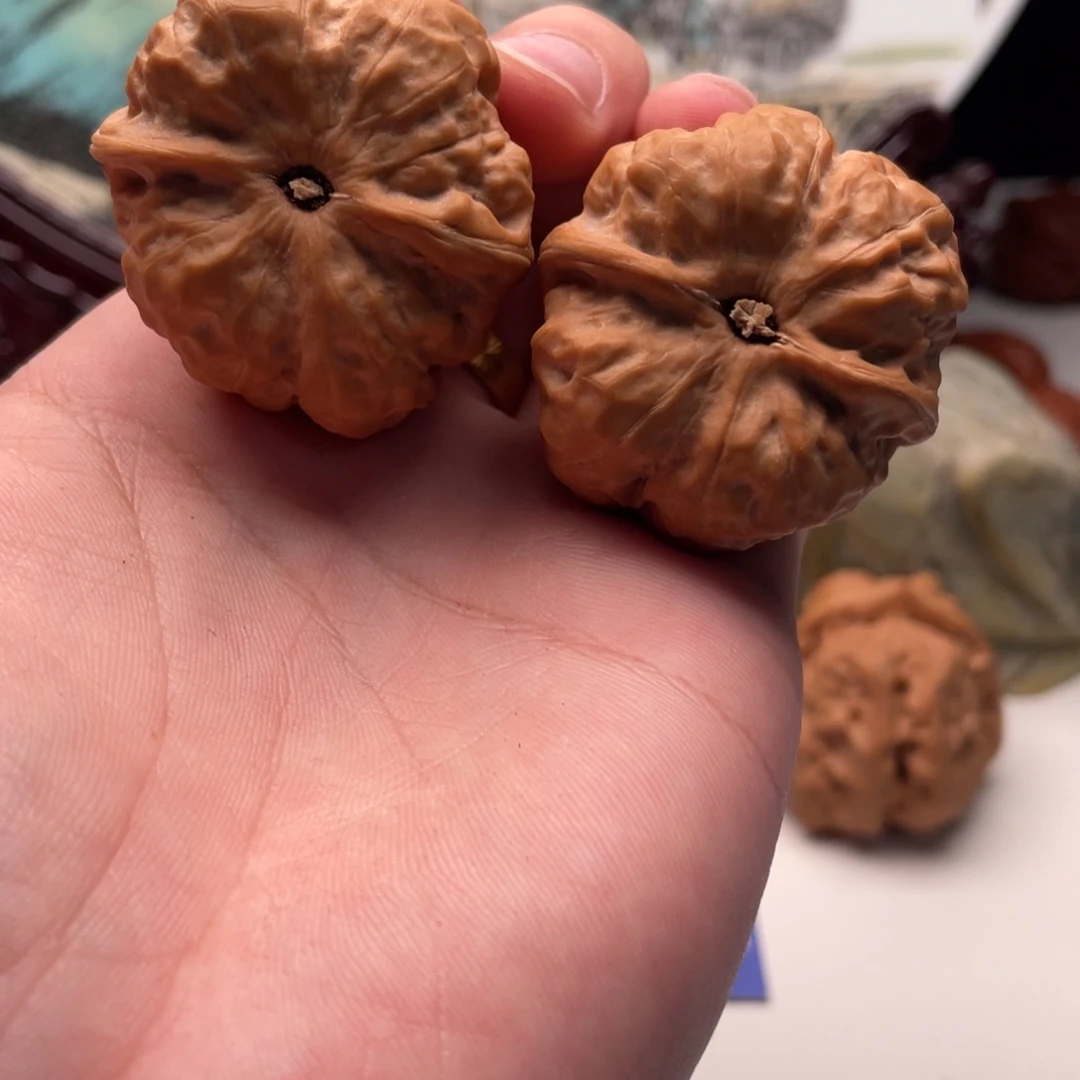 上***鱼核桃蛤蟆头文玩C31