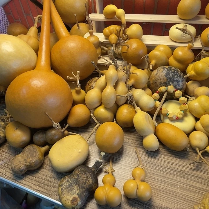 Y***L哈哈哈哈哈哈哈哈哈哈哈哈