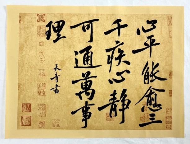 《心平能愈三千疾》书法作品34x46cm