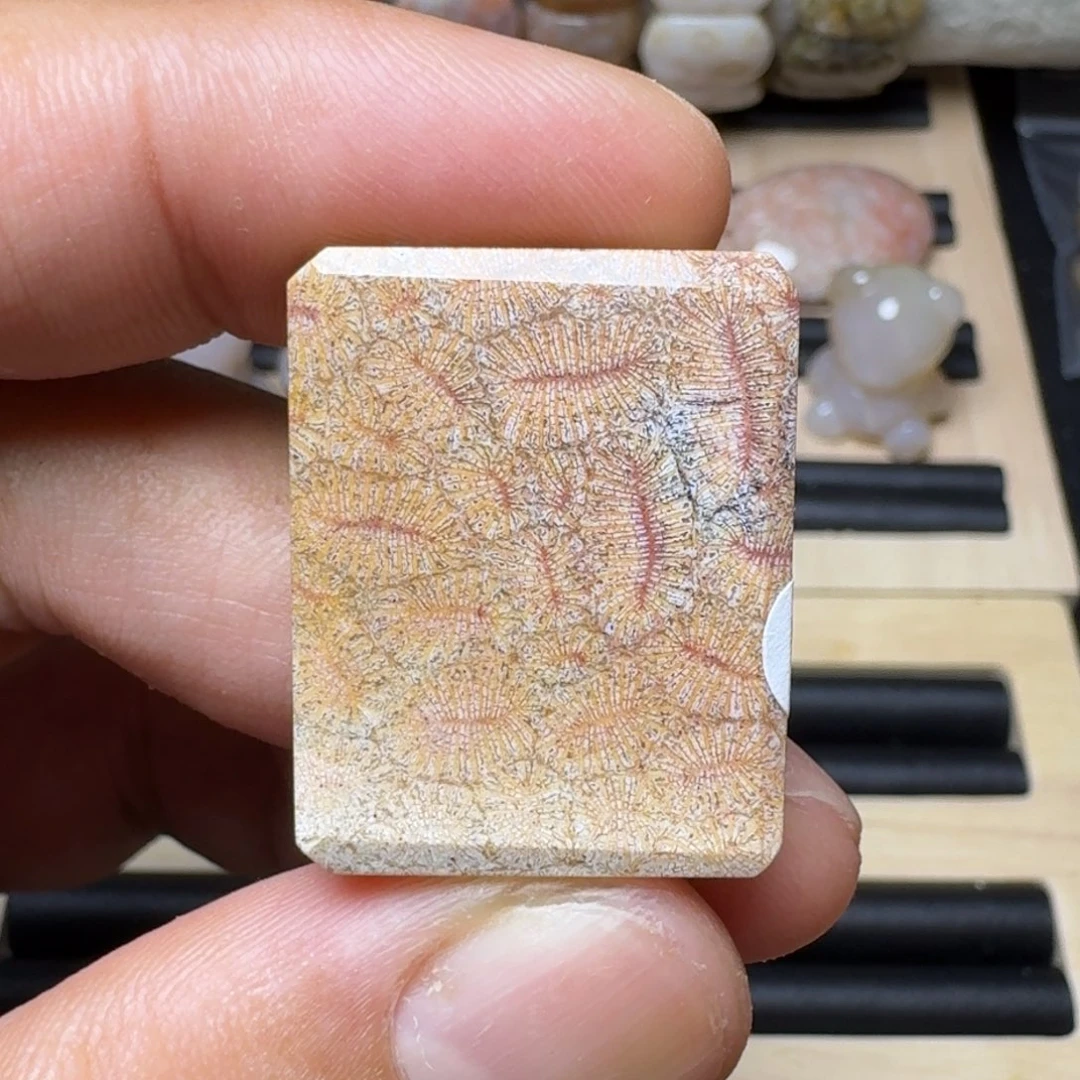 硅化玉纯天然色有机玉石保真色未镶嵌