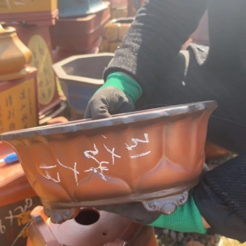 紫砂花盆紫砂花盆盆景盆栽