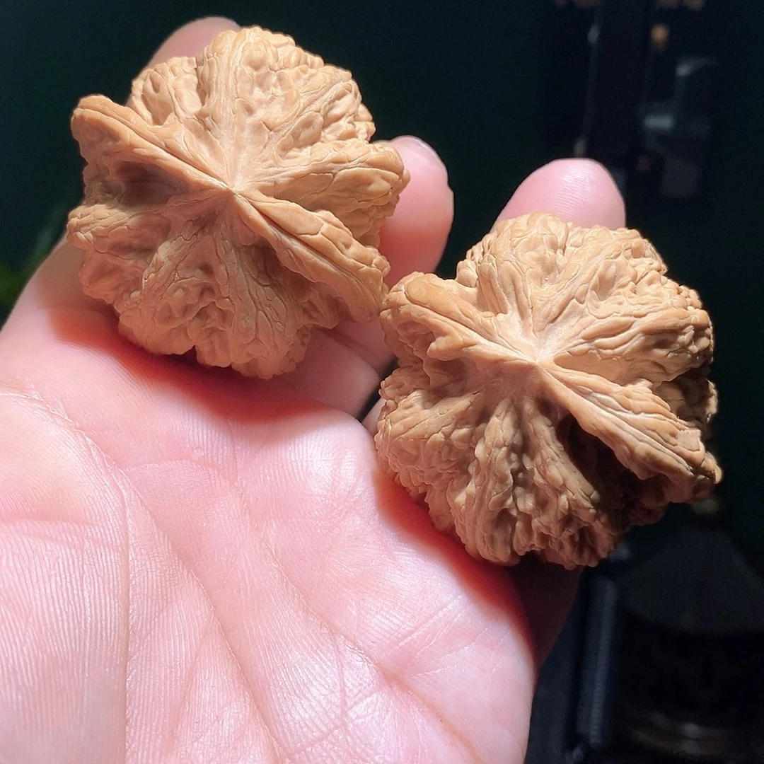 把件文玩核桃48大粗筋全品