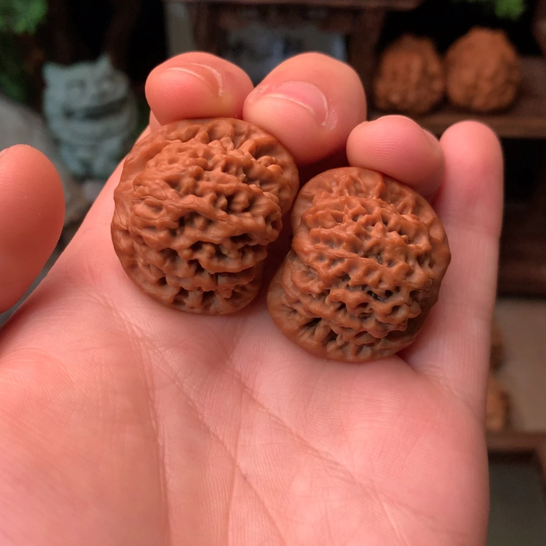 核桃34尺寸原树矮桩秦闷