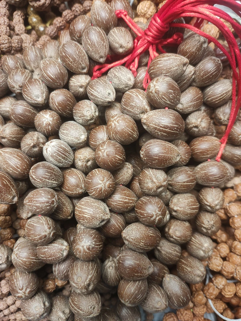 直播专享aaa前鼠后猫紫金鼠手持13-14mm左右原皮紫金鼠