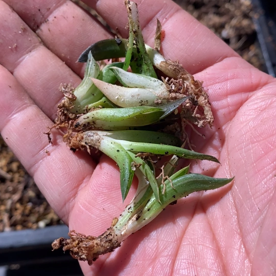 ****跑11103 一组福利。