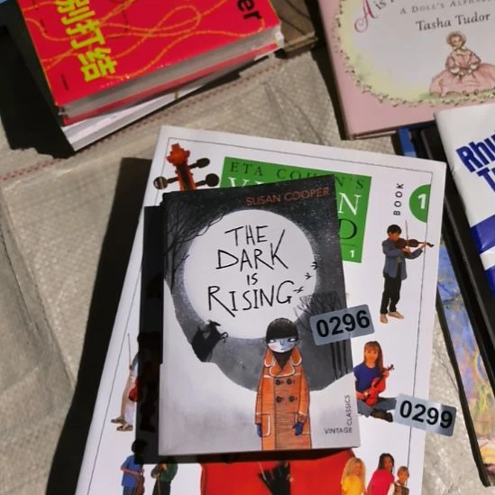 296号英文书英文书