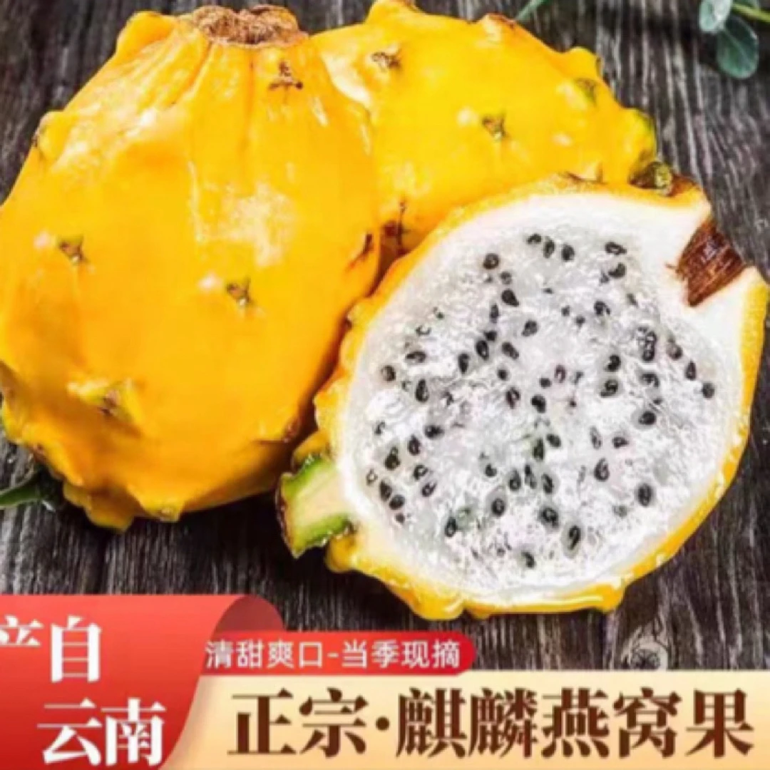 云南高山高海拔露天种植新鲜采摘罕见水果燕窝果低脂水果